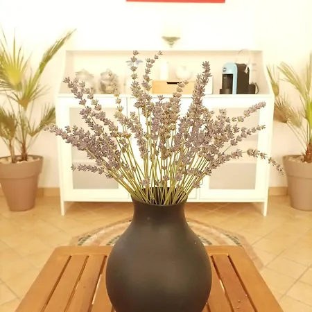 Villa Istonia 3*