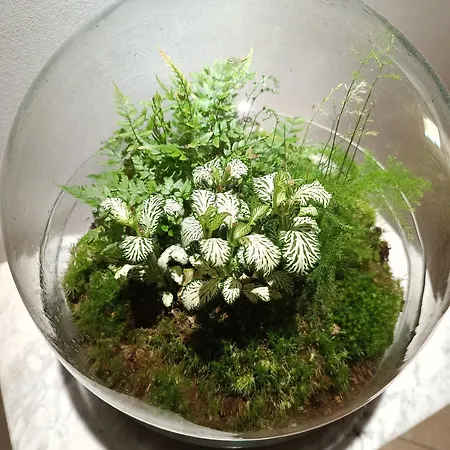 Nocleg ze śniadaniem Istonia Cupello