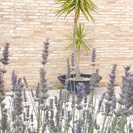 Istonia Bed and breakfast Cupello