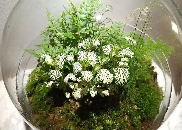 فندق مبيت وإفطار Istonia Cupello