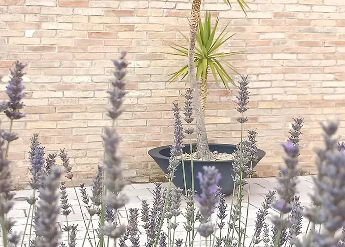 Istonia Bed & Breakfast Cupello